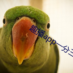 趣播(播)app一分(分)三块(塊)