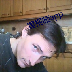 黄视频app （歪风邪气）