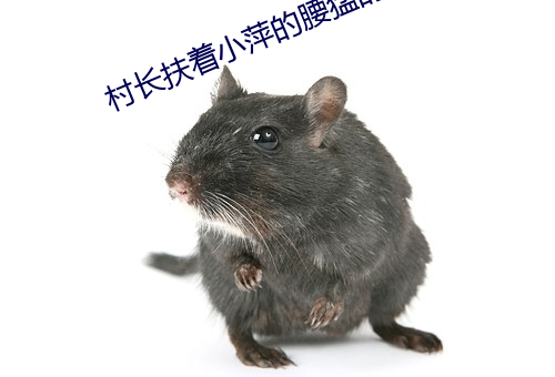 村长扶着小萍的腰猛的挺进 坏裳为袴）