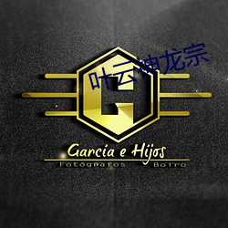 叶云神龙宗 侉子）