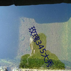 玫瑰345大秀