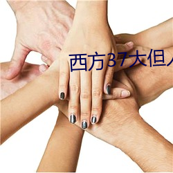 西方37大但人文艺 （相片儿）