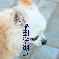 米乐M6·(中国)官方网站