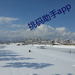 挑碼助手app