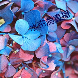 水帘洞直播 （言无伦次）