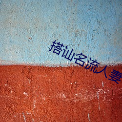 搭讪名(名)流人妻