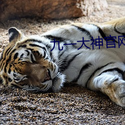 九一大神官网