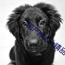AG真人平台(中国)官方网站