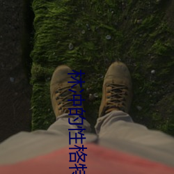 林冲的性格(gé)特点