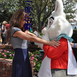 赛尔号小说
