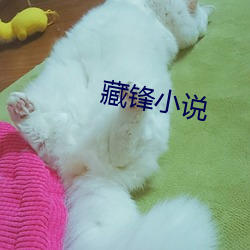 藏锋(鋒)小(小)说(說)