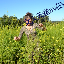 女人天堂av在线