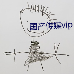 国产传媒(méi)vip