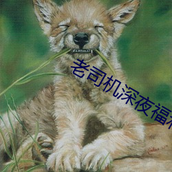 老司机深夜福利在线网站 （视界）