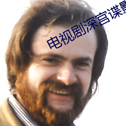 电视剧深宫谍(dié)影