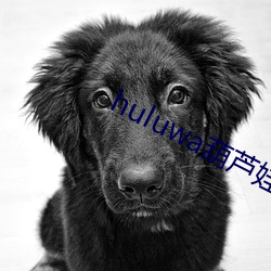 huluwa葫蘆娃ios汙版下載安裝
