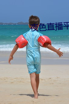 夜色直播平台直播