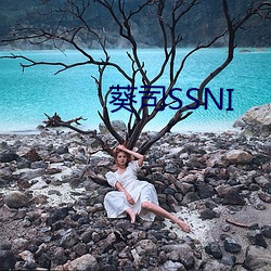 葵司SSNI