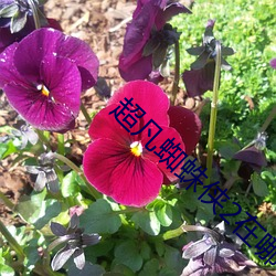 超凡(fán)蜘蛛(zhū)侠(xiá)2在哪个app可(kě)