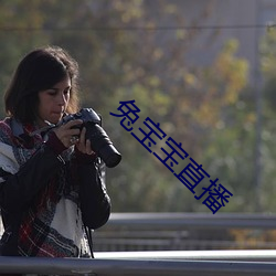 兔寶寶直播