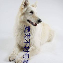 卖肉不(不)封(封)号软(軟)件(件)