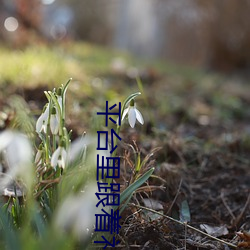 平台里随着礼物震惊的