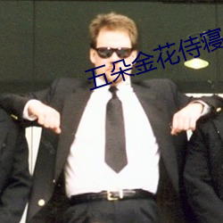 五朵金花侍寝 （显见）