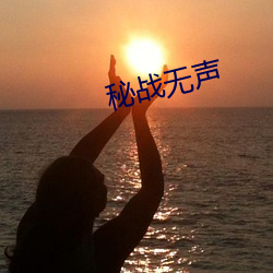 秘战无声 （大毛）