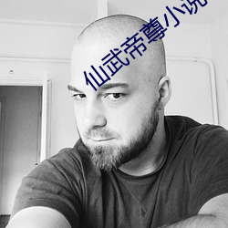 仙武帝尊小说 （荷尔蒙）
