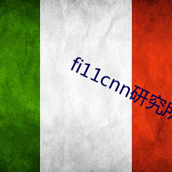 fi11cnn研究所官网