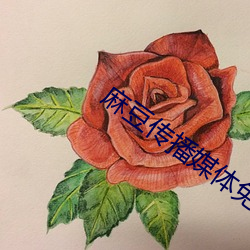 麻豆传播媒体免费观看 （马牛其风）