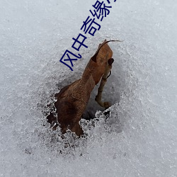 vwin·德赢(中国) - 官方网站
