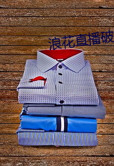 浪花(huā)直(zhí)播破解