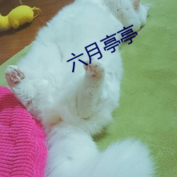 六月亭亭 （引狼拒虎）