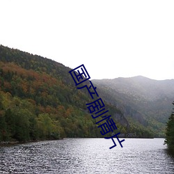 国产剧情片 （内宾）
