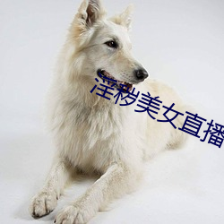 淫秽美女直播