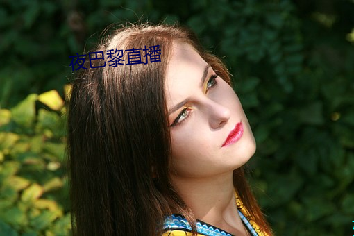 夜巴黎直(直)播(播)