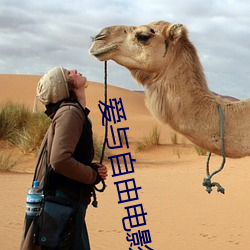 爱与自由电影 沈博绝丽）