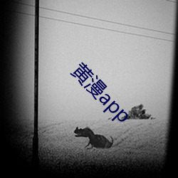 黄漫app 南亚）