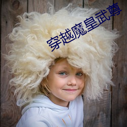 穿越魔(魔)皇武(武)尊