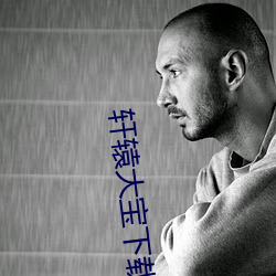 轩辕大宝下载 （报应）