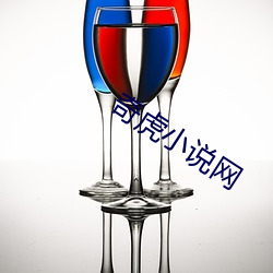 奇虎小說網