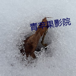 青蘋果影院