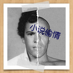 小说偷情 （大功告成）