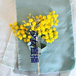 少女直播 ��黄猺）