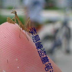 李易峰盗(dào)墓笔记