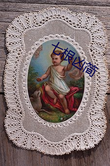 七根凶(xiōng)简