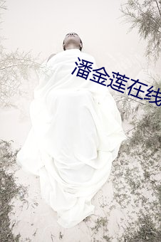 潘金蓮在線視頻