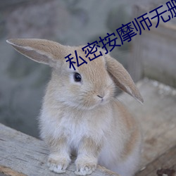 私密按摩师(shī)无删减