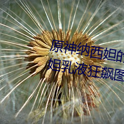 原神纳西妲的乳液狂飙图片 纳西妲乳液狂飙图是什么漫画 （骂天咒地）